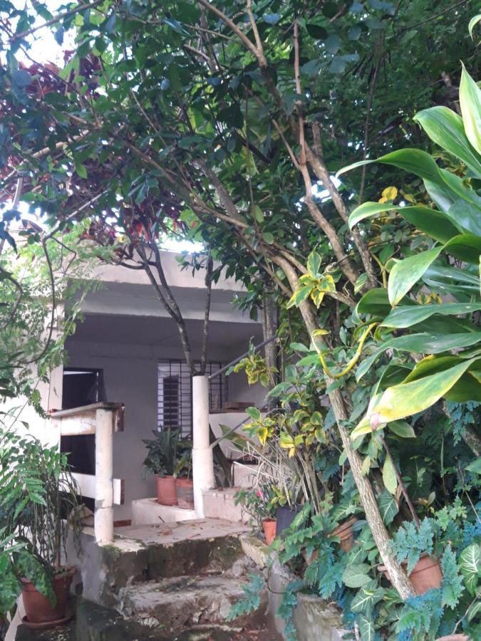 Au Jardin Fleuri Apartman Sainte-Anne Kültér fotó